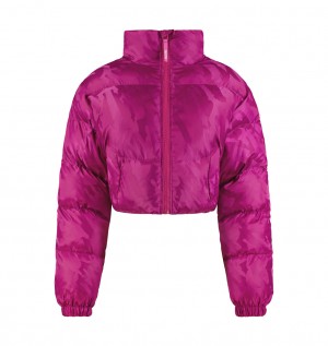 Trapstar Cropped T Jacquard Puffer Ytterklær Herre Fuchsia Rosa | 5160823-FI